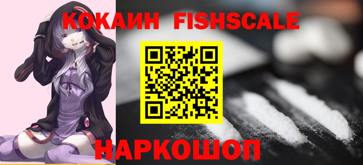 COCAIN Fish Scale  Вход с VPN  Геленджик 