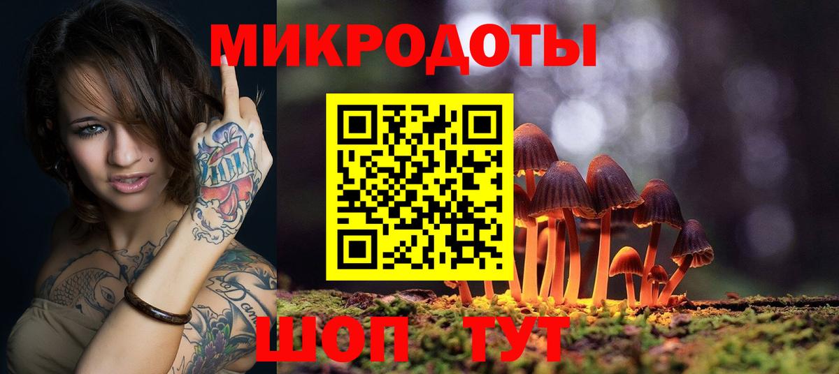 Галлюциногенные грибы Psilocybine cubensis Геленджик